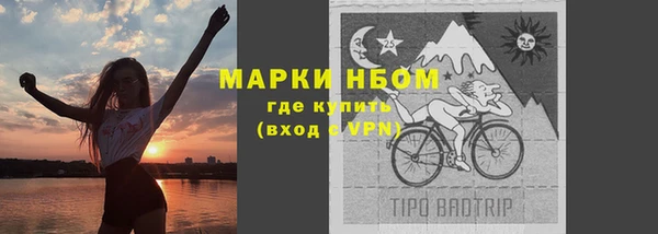 индика Белокуриха